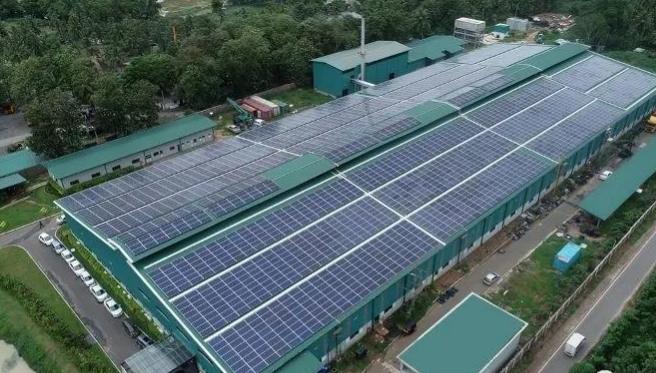 隨著海外輪胎廠復工復產恢復到2019年同期水平 隨著海外輪胎廠復工復產恢復到2019年同期水平